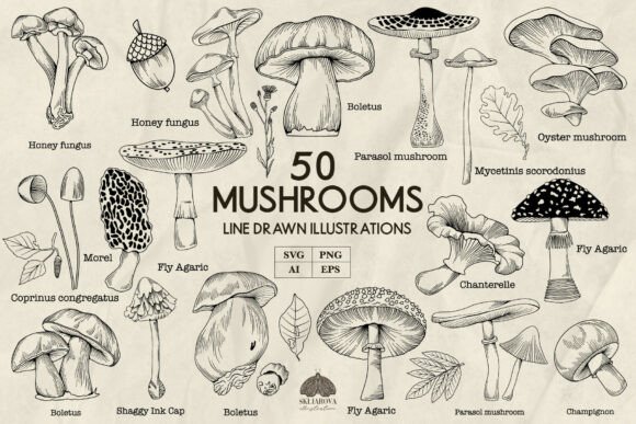 Download Mushrooms Line Art Svg Png Eps - Eps Collection