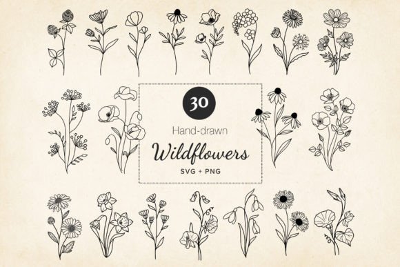 Download Minimal Wildflowers Set SVG, EPS, PNG - Eps Collection