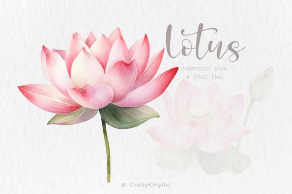 Download Pink Lotus Flower PNG Watercolor Bundle - Lotus Collection