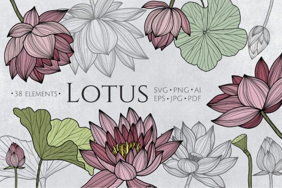 Download Lotus Flowers SVG Line Art - Lotus Collection
